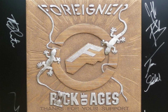 2010-ROA-Foreigner-Relief